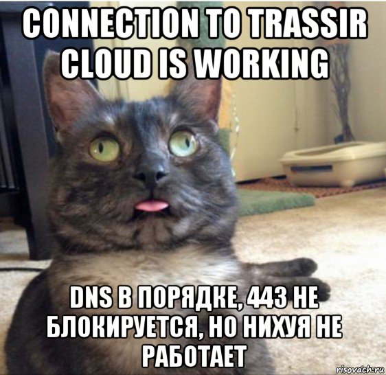 connection to trassir cloud is working dns в порядке, 443 не блокируется, но нихуя не работает, Мем   Кот завис