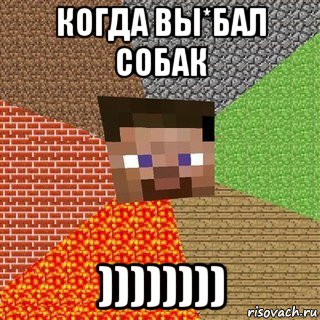 когда вы*бал собак )))))))), Мем Миникрафтер