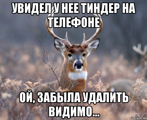 увидел у нее тиндер на телефоне ой, забыла удалить видимо..., Мем   Наивный олень