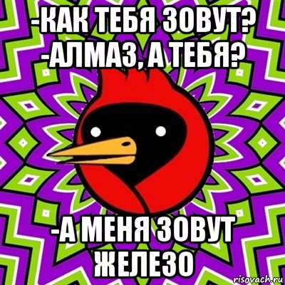 -как тебя зовут? -алмаз, а тебя? -а меня зовут железо, Мем Омская птица