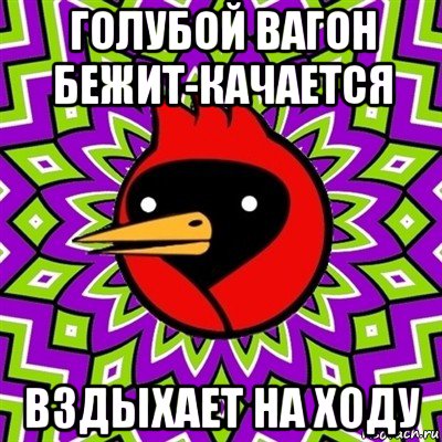 голубой вагон бежит-качается вздыхает на ходу, Мем Омская птица