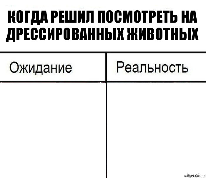 Когда решил посмотреть на дрессированных животных  , Комикс  Ожидание - реальность