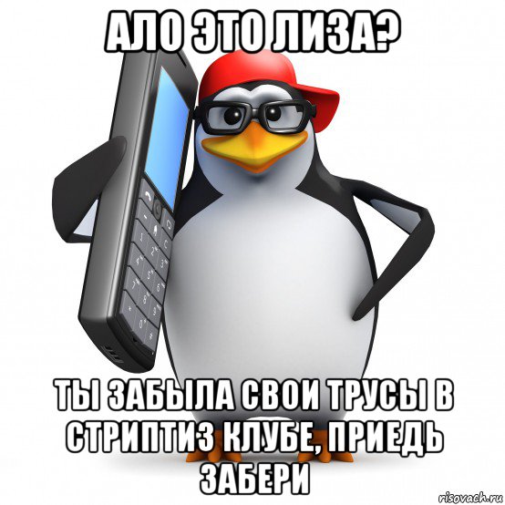 ало это лиза? ты забыла свои трусы в стриптиз клубе, приедь забери, Мем   Пингвин звонит