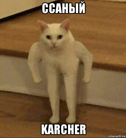 ссаный karcher, Мем  Полукот