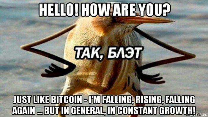 hello! how are you? just like bitcoin - i'm falling, rising, falling again ... but in general, in constant growth!, Мем  Так блэт