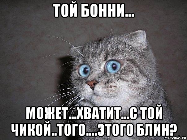 той бонни... может...хватит...с той чикой..того....этого блин?, Мем  удивлённый кот