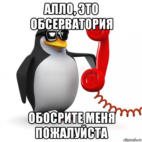 Включи русский але. Алло Мем. Алё Мем. Алло это Мем с пингвином. Ало ало Мем.