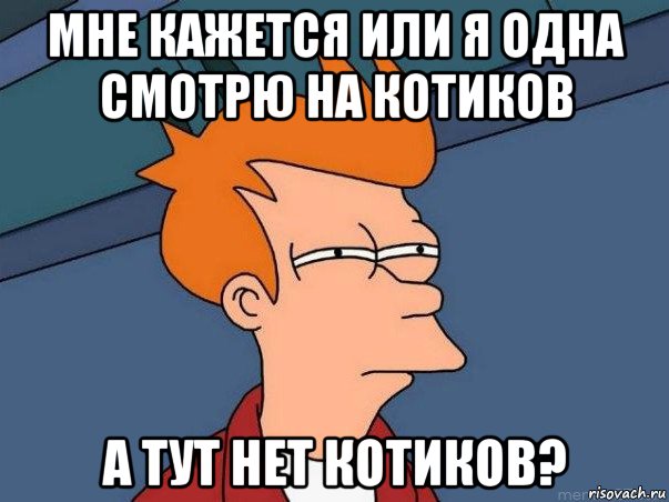 мне кажется или я одна смотрю на котиков а тут нет котиков?, Мем  Фрай (мне кажется или)