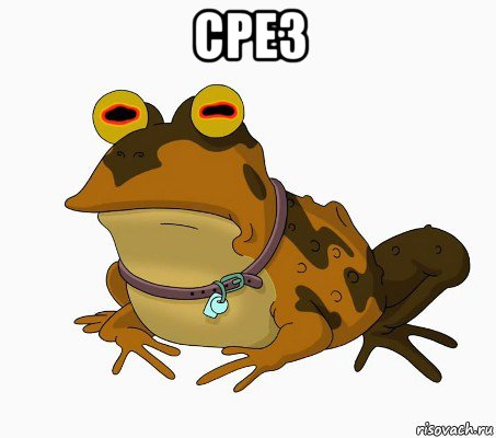 срез 