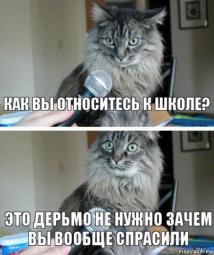 Как вы относитесь к школе? Это дерьмо не нужно зачем вы вообще спрасили, Комикс  кот с микрофоном