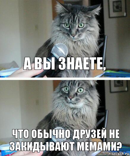 А вы знаете, что обычно друзей не закидывают мемами?, Комикс  кот с микрофоном