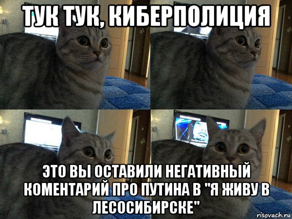 тук тук, киберполиция это вы оставили негативный коментарий про путина в "я живу в лесосибирске", Мем  Кот в шоке