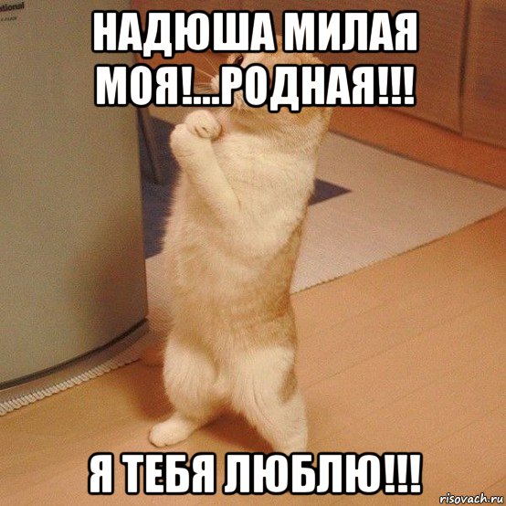 надюша милая моя!...родная!!! я тебя люблю!!!