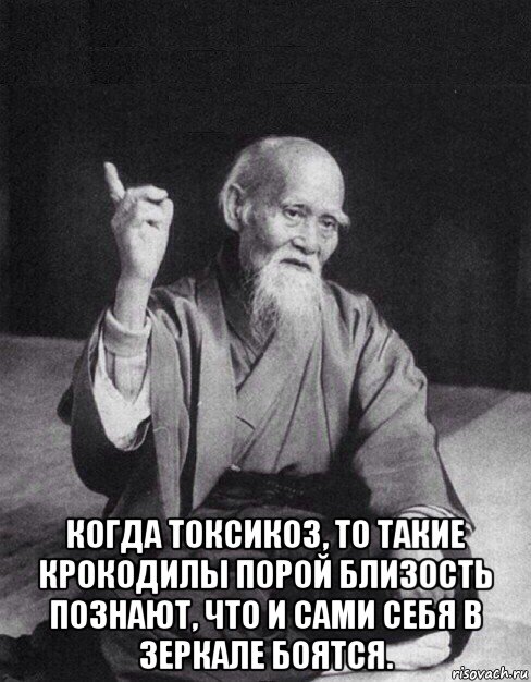  когда токсикоз, то такие крокодилы порой близость познают, что и сами себя в зеркале боятся., Мем Монах-мудрец (сэнсей)