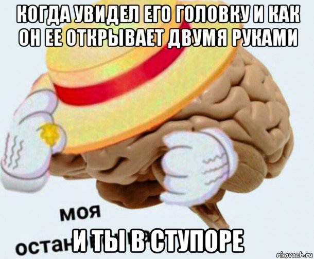 когда увидел его головку и как он ее открывает двумя руками и ты в ступоре, Мем   Моя остановочка мозг