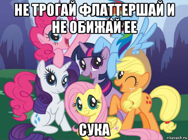 не трогай флаттершай и не обижай ее сука, Мем My little pony