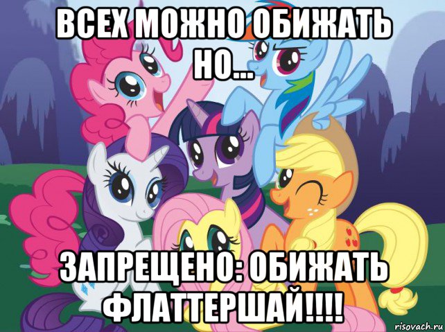 всех можно обижать но... запрещено: обижать флаттершай!!!!, Мем My little pony