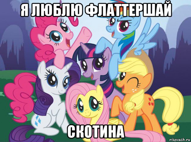 я люблю флаттершай скотина, Мем My little pony