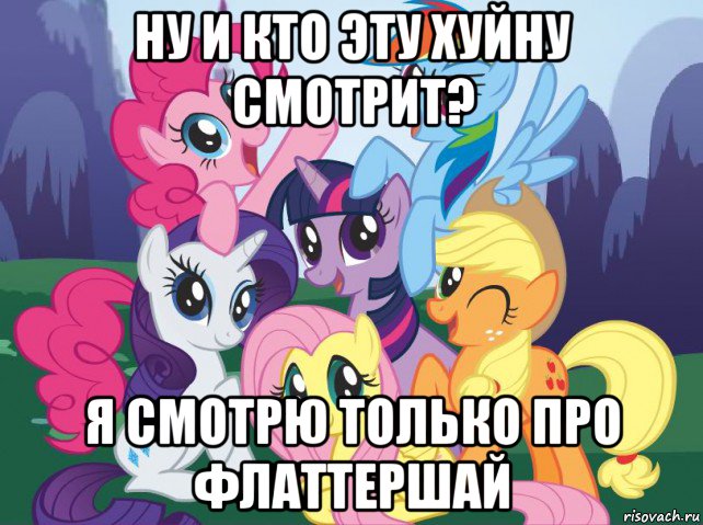 ну и кто эту хуйну смотрит? я смотрю только про флаттершай, Мем My little pony