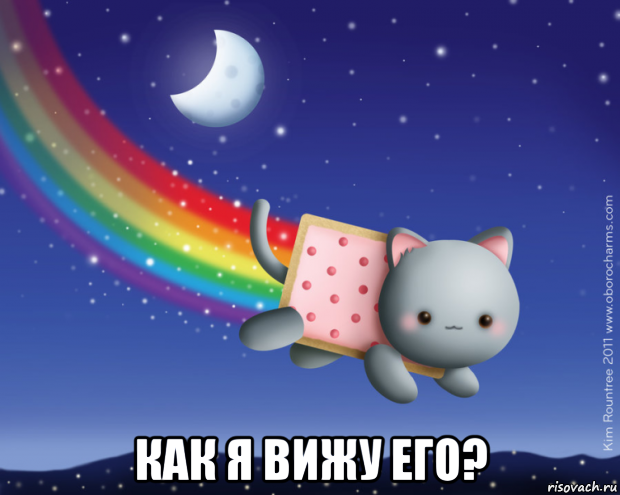  как я вижу его?, Мем Нян кэт