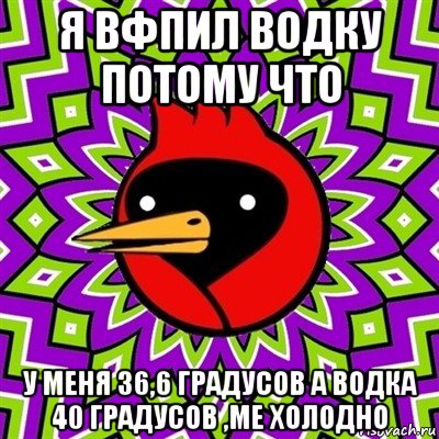 я вфпил водку потому что у меня 36,6 градусов а водка 40 градусов ,ме холодно, Мем Омская птица