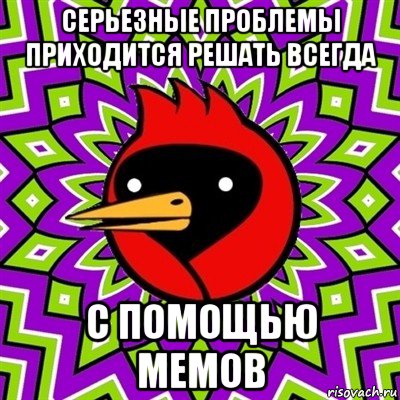 Входит и выходит. Входит и выходит Мем. Сова входит и выходит. Входит и выходит замечательно выходит 18.