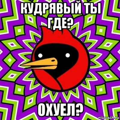 кудрявый ты где? охуел?, Мем Омская птица