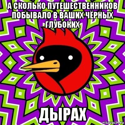 а сколько путешественников побывало в ваших чёрных глубоких дырах, Мем Омская птица