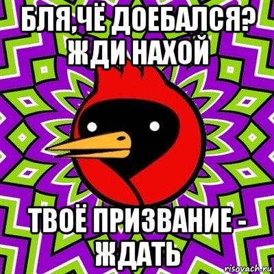 бля,чё доебался? жди нахой твоё призвание - ждать, Мем Омская птица