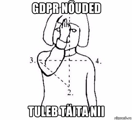 gdpr nõuded tuleb täita nii, Мем  Перекреститься