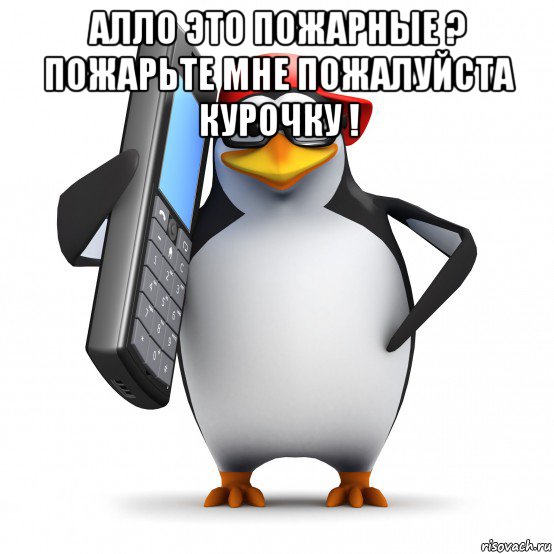 алло это пожарные ? пожарьте мне пожалуйста курочку ! , Мем   Пингвин звонит