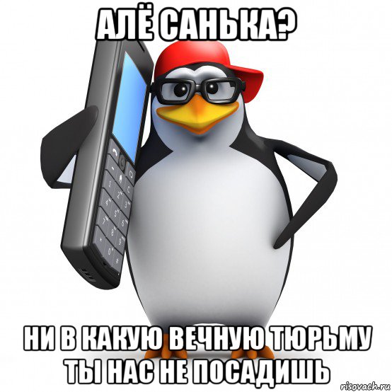 алё санька? ни в какую вечную тюрьму ты нас не посадишь, Мем   Пингвин звонит