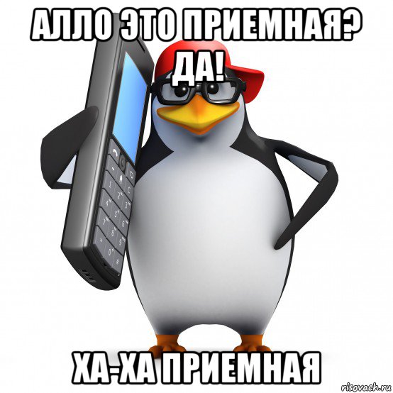 алло это приемная? да! ха-ха приемная, Мем   Пингвин звонит