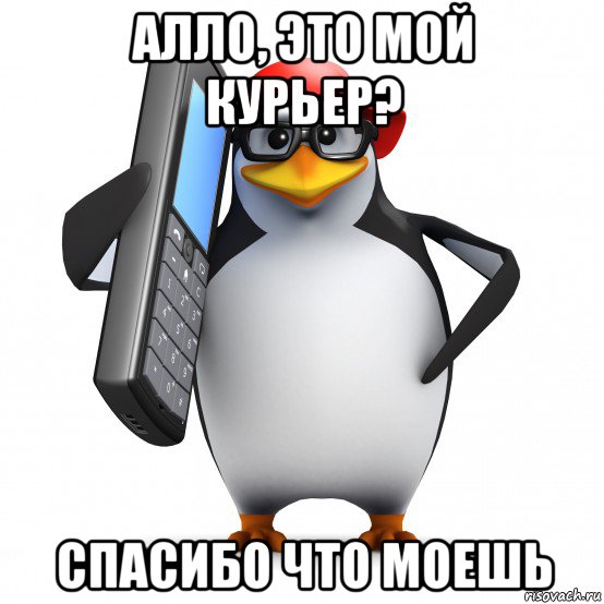 алло, это мой курьер? спасибо что моешь, Мем   Пингвин звонит