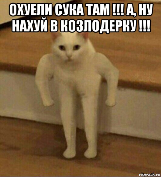 охуели сука там !!! а, ну нахуй в козлодерку !!! , Мем  Полукот