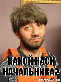 Какой наси начальника?