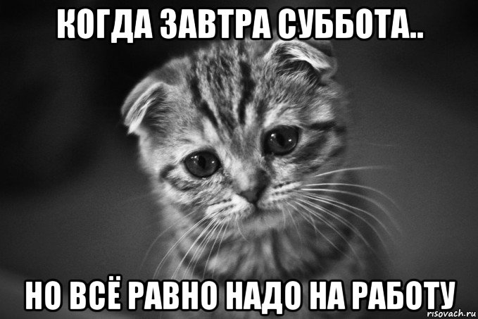 Rjulf d. Когда завтра на работу Мем. Когда завтра суббота на работу. Мем когда в субботу на работу. Когда работаешь в субботу Мем.