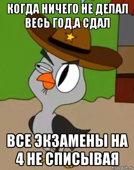 когда ничего не делал весь год,а сдал все экзамены на 4 не списывая, Мем    Упоротая сова