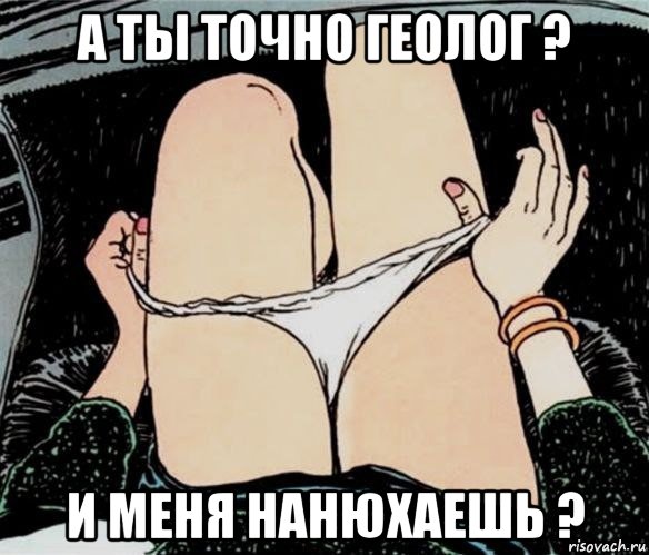 а ты точно геолог ? и меня нанюхаешь ?, Мем А ты точно