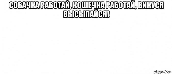 собачка работай, кошечка работай, викуся высыпайся! , Мем Белый ФОН