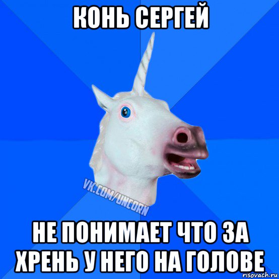 конь сергей не понимает что за хрень у него на голове, Мем Единорог