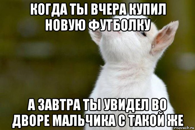 когда ты вчера купил новую футболку а завтра ты увидел во дворе мальчика с такой же, Мем  Гордый козленок