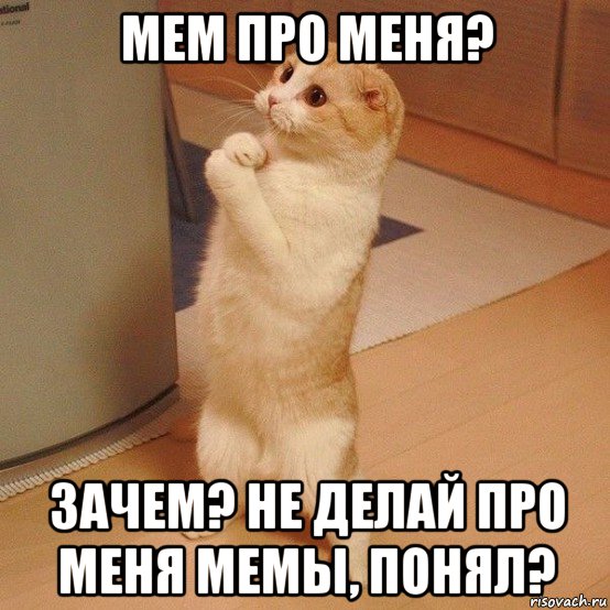 мем про меня? зачем? не делай про меня мемы, понял?