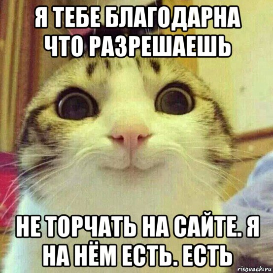 я тебе благодарна что разрешаешь не торчать на сайте. я на нём есть. есть, Мем       Котяка-улыбака