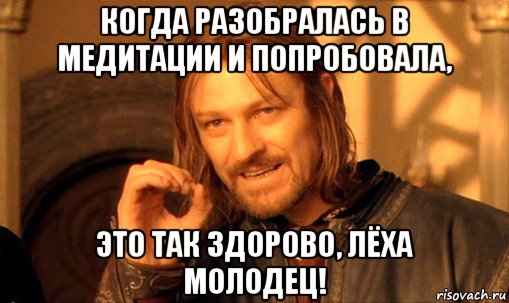 когда разобралась в медитации и попробовала, это так здорово, лёха молодец!, Мем Нельзя просто так взять и (Боромир мем)