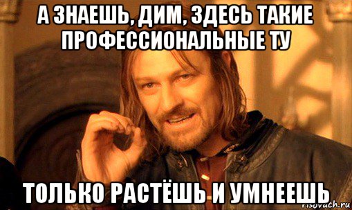 а знаешь, дим, здесь такие профессиональные ту только растёшь и умнеешь, Мем Нельзя просто так взять и (Боромир мем)