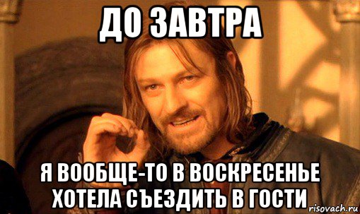 до завтра я вообще-то в воскресенье хотела съездить в гости, Мем Нельзя просто так взять и (Боромир мем)