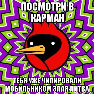 посмотри в карман тебя уже чипировали мобильником злая литва, Мем Омская птица