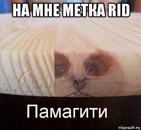 на мне метка rid 