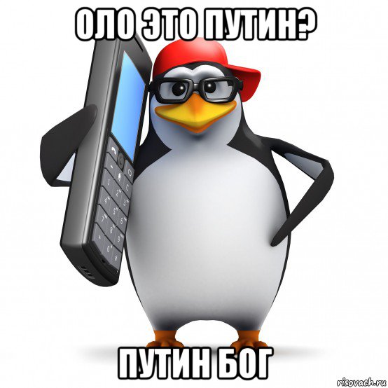 оло это путин? путин бог, Мем   Пингвин звонит